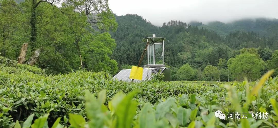 休寧縣利用云飛太陽(yáng)能測(cè)報(bào)燈打造秀美皖南