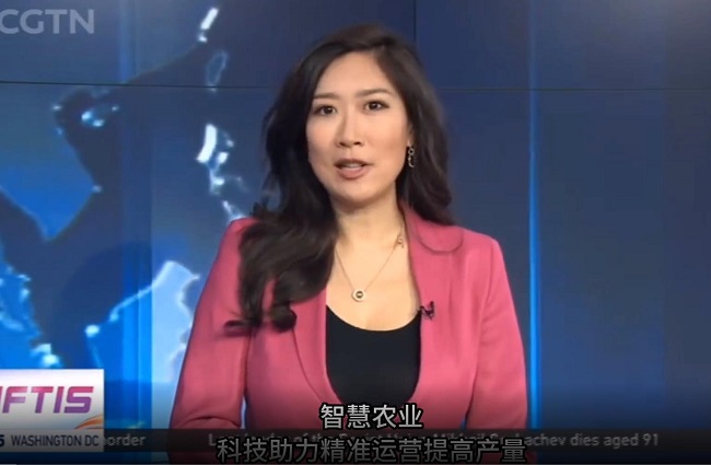 ЇHCGTN ҕЇ롷(ji)Ŀ^ꖸߘ(bio)(zhn)r(nng)ʾ^(q)